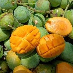 ১২ কেজি হিমসাগর আম
